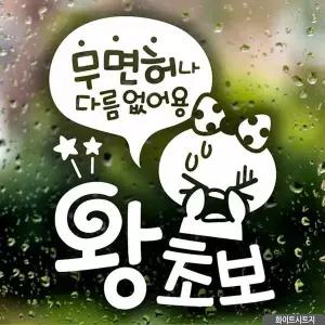 [알티피아]bns 자동차스티커 무면허왕초보 쁘띠 초보운전 화이트