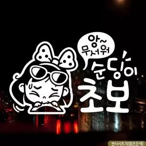 [알티피아]bns 자동차스티커 순딩이초보 동글이 초보운전 반사