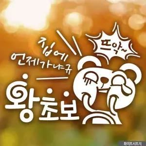 [알티피아]bns 자동차스티커 언제가냐규 왕초보곰돌이 화이트시트지