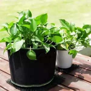 베란다 텃밭 대형 부직포 화분 2p 대파 상추 키우기백 블루베리 커버 가정용 식물기르기 가벼운 그로우 튼