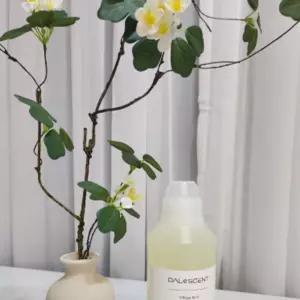 돌파넷 실내디퓨저 대용량 은은한향 실속형 500ml 시트러스블러썸 선물용 방제 탈취제 용방제 오일 이사 집