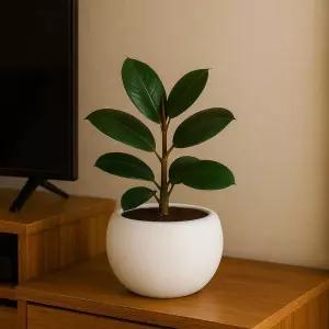 고강도 플라스틱 화분 루나 볼 달항아리 2호 중 30x23cm귀여운 모던한 깔끔한분 미니 예쁜 감각적인 분갈이