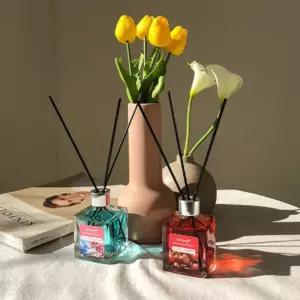 THS 바이향 리프레싱 홈닥터 디퓨져 100ml 10종 택1실내저 기저 기져 방저 방져 공간저 스틱 퓨저