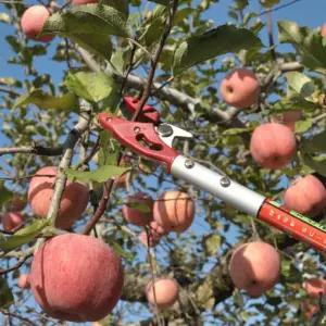 열매수확 식물재배 620MM 전지가위 S270정원 나무가지치기 자르기 사과 과수원 용가