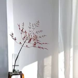 베하몰 사각 유리 화병 10x10x30cm 글라스 꽃병 인테리어 화분 소품 투명 다용도 도병 향초 네모난