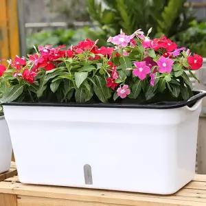 자동급수화분 옥상텃밭 물주기 상추키우기사무실 베란다 물화분 플라스틱 미니 인테리어 분갈이 디자인