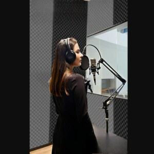 방음 패널 음향 패드 접착 스튜디오용 패딩 방음벽 자동차 자가 방수