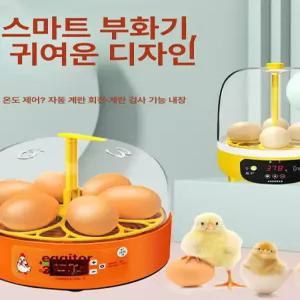 병아리부화기 스마트부화기 달걀 조류 자동부화기220V 36란 최신형 자동급수