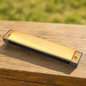 고급 20홀 하모니카 황금빛 멜로디골드 20 금색 악기 초급 입문용 멜로디언 하프 취미 음악 연주 솔로 휴대