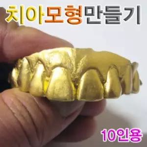 향앤미과학 치아 모형 만들기 10인용만들기교구 DIY 학습만들기 교육용만들기 실험 교육용 초등