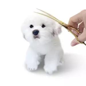 애견 7인치 커브 가위 세트 (골드) 미용 곡선 동물가 가집 요술 반려