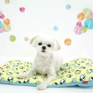 패리스독 버블 아이스쿨 멀티 쿠션 스팩 포함강아지방석 애견 스쿠션 여름 반려견 하우스