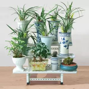 조립식 다용도 화분 선반 이동식 정리대 3단다이 플랜트스탠드 식물인테리어 트레이 다육이 진열대 미니 철