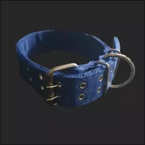 PP 밸트 개목줄 50mm 70cm 파랑 러프웨어목 강아지목걸이 산책 개목 반려견 댕댕이목 강아지목 견목 애견목