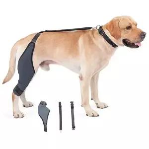 반려견 관절 보호대 슬개골 무릎 다리 강아지 관절 보호대 밴드 강아지산책 재활용품 재활 용품 산책 수술