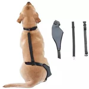 반려견 관절 보호대 슬개골 무릎 용품 강아지 관절 보호대 의료 재활용품 재활