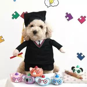 패리스독 36번 척척 박사 애니멀 라텍스 토이반려견장난감 애난감 강아지 애견