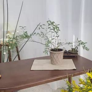 테라원 빈티지 아쿠아 토분 HN30411 14x15cm 체크화분용기 예용품 정용품 분갈이 홈가드닝 식물키우기 인테