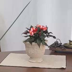 테라원 빈티지 아쿠아 토분 HN30413 14x15cm 콤포트화분용기 예용품 정용품 분갈이 홈가드닝 식물키우기 인