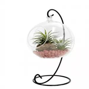 트윈 이오난사 행잉 테라리움 - 1인세트