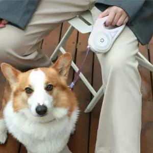 GDM LED 강아지 줄 리드반려견용품 LED목 안전 빛나는 야광 야간산책 산책