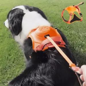 BM-020 중대형견하네스 통합형 가슴줄 반려동물외출용품 강아지 목줄 중견목 견목