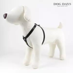 (DOGDAYS)프리미엄 I형 가슴줄(하네스) 블랙 (XXXS.XXS.XS.S.M)강아지몸통 애견통 외출 용품 반려견산책 가