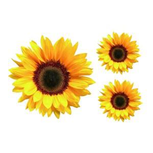 해바라기 비닐 자동차 스티커, 스크래치 커버 자동차, 오토바이, 홈 데코용 옐로우 플라워 범퍼 데칼