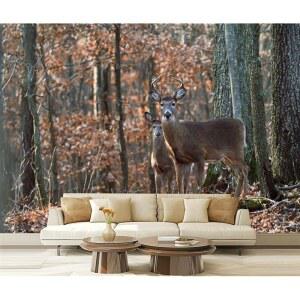 벽 벽화 흰색 꼬리 사슴 껍질 벗기기 스틱 벽지 탈착식 자가 접착 대형 벽 장식 거실 침실 방 100''x144''