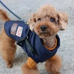 코코아허니 하네스 점퍼 S-3XL애완견 강아지큰사이즈 애빅 대형 외투 강아지옷 반려