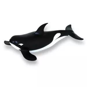 반디 (범고래) 동물모형 반디 동물학습