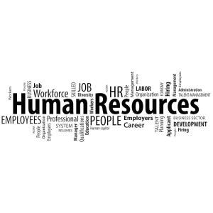 비닐 월 데칼 인사말 인사말 클라우드 관리 사무실 스티커 벽화 대형 장식 (ig6223) (XL 23인치 X 70인치 흰색)