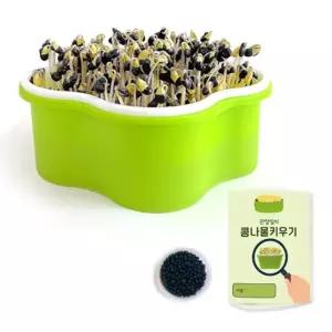 초간단 콩나물 키우기/가정용/재배/재배기/가정/원예/가족/체험/식물/건강식/과학/수업/캠프/교육용/재배통