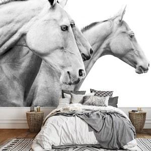 wall26 - 순종 말 - 탈착식 벽 벽화 | 자가 접착 대형 벽지 - 66x96 인치