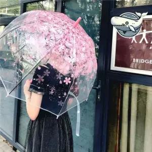 벚꽃 패턴 투명 장우산 스프링 고급 경량 우산 대형우산 패션우산 이쁜우산 큰우산