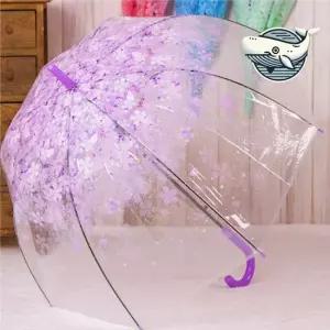 예쁜 고급 투명 장우산 퍼플 2개 여성용 우산 대형우산 패션우산 이쁜우산 큰우산