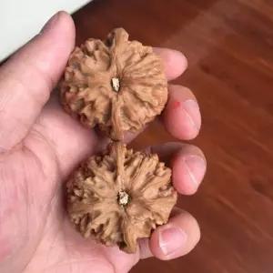 지압호두 귀족 마사지 손마디 호도 손바닥