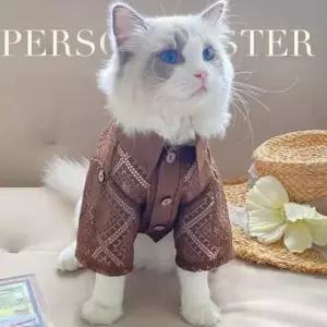 강아지 고양이 통기성 셔츠 선스크린 레이스 반려동물