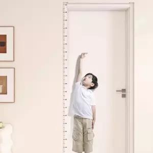 키측정 200cm 눈금자 키재기 스티커 시트지 M13194 DHO6+9cWE