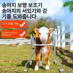 송아지 보행기 걸음 송아지보행기 축산 보조 워커 스탠딩