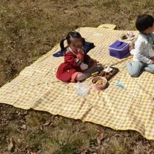 ( )체크 방수돗자리 옐로우 대형 야외용돗자리 피크닉돗자리 휴대용돗자리