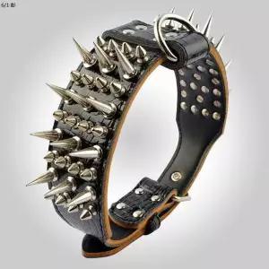 대형견 개 목줄 견인 맹견 리드줄 물림방지