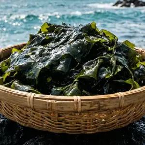 해녀가 직접 채취한 제주 자연산 돌미역 생미역(급냉) 5kg