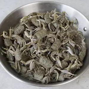 당일채취 순천만 생물 칠게 1kg
