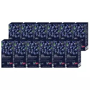 빌록시 블루베리 퓨레100 12박스 (168포)
