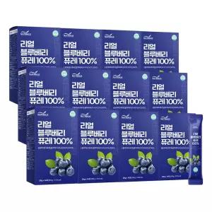 VIP뉴트리너스 리얼 블루베리 퓨레 100% (20ml x 14포) 12박스