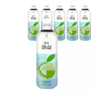 [셀러허브]웰진 매실 1L X 6개 아이스티 과일원액 희석음료 (S30434471)