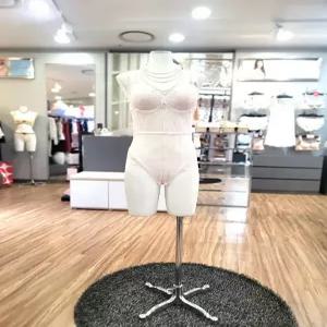 [에블린][에블린] 에블린 프리미엄 D컬렉션 로제타드레스 테디 EBFLF4930D (P003796413)