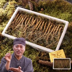 한지삼 강원도 산양삼 국내산 산양 삼 산양산삼 사포닌 건강 선물 5-6년근 20뿌리 프리미엄 선물세트