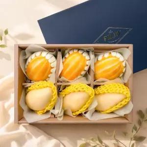 [어버이날] 도담 6구 2종 과일선물세트 4호(망고+참외)